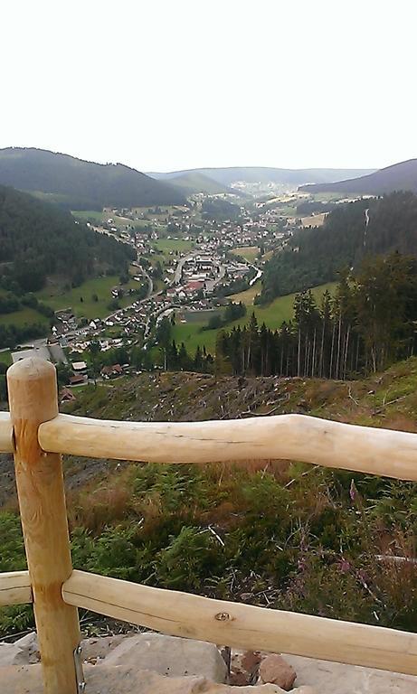 Martina Frey Ferienwohnungen Baiersbronn Exteriör bild
